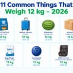 11 Common Things That Weigh 12 kg – 2026