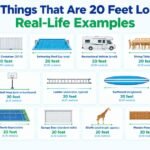17 Things That Are 20 Feet Long: Real-Life Examples