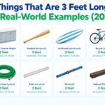 Things That Are 3 Feet Long: 13 Real-World Examples (2026)